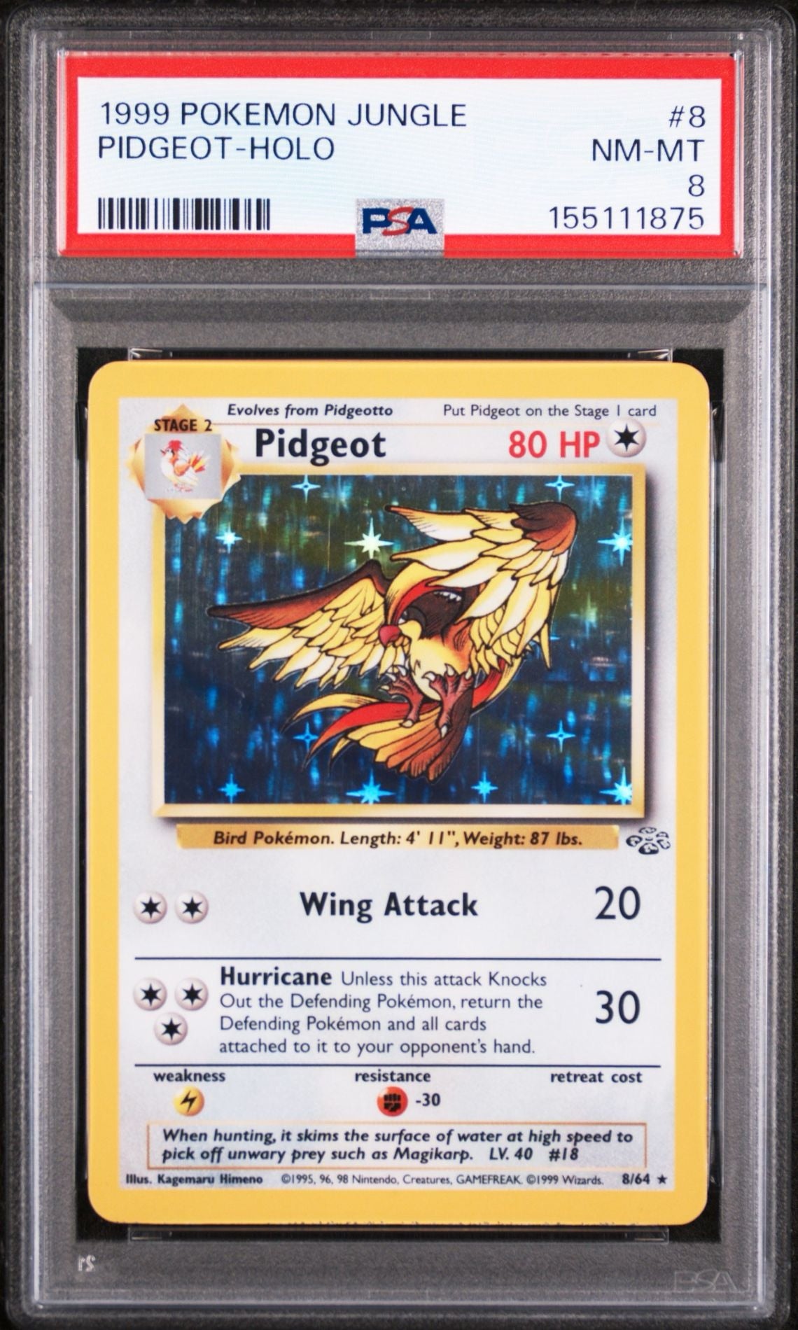 Pidgeot PSA 8.0 NM - MT