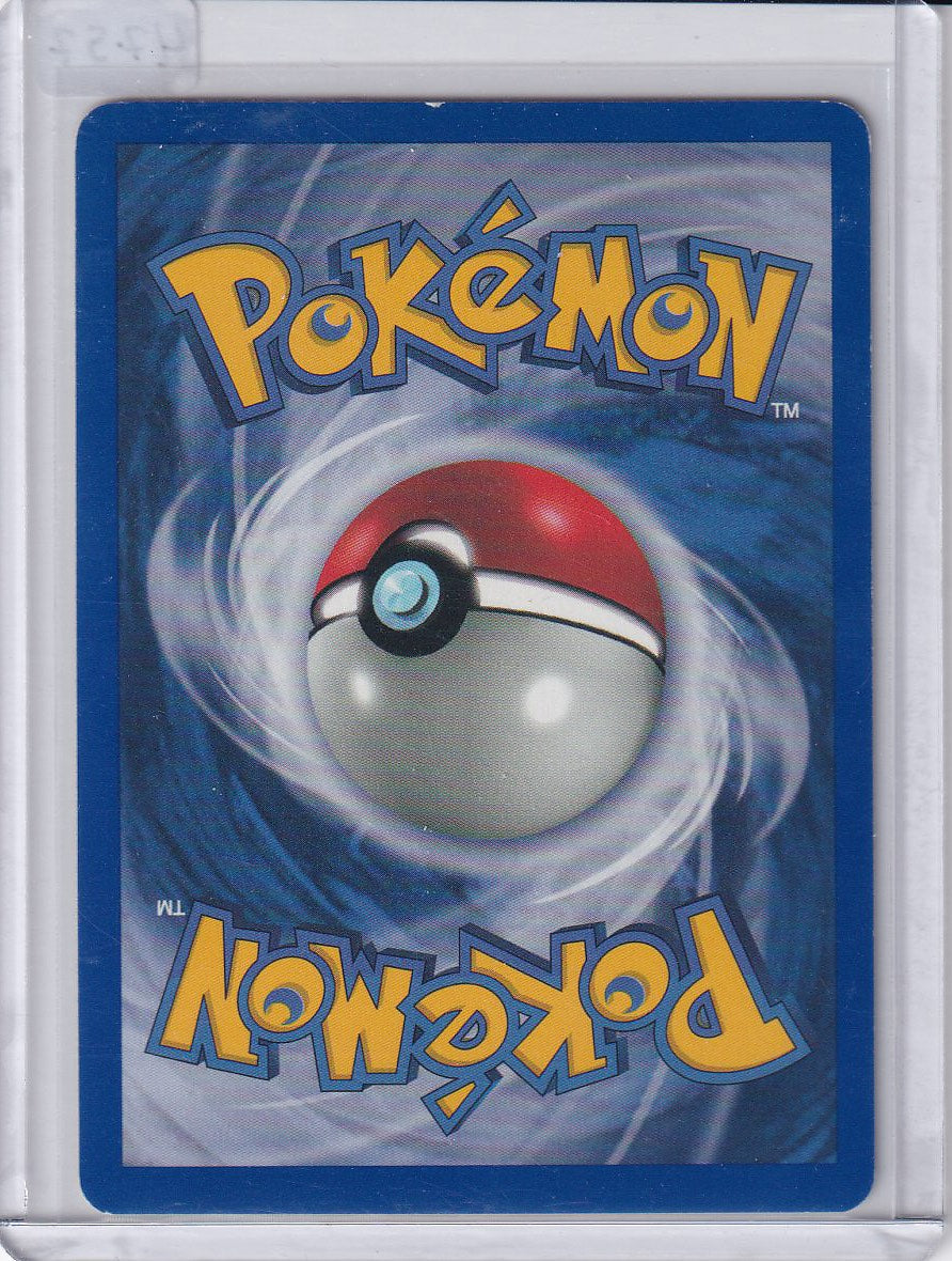 Ursaring
