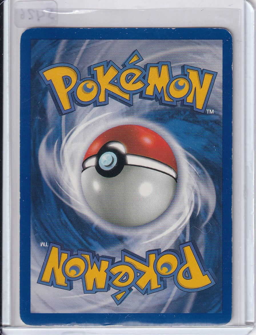 Dark Charizard (DMG)
